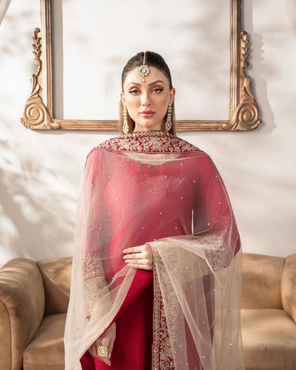 Red pakistani salwar kameez Indian Readymade dress for wedding
