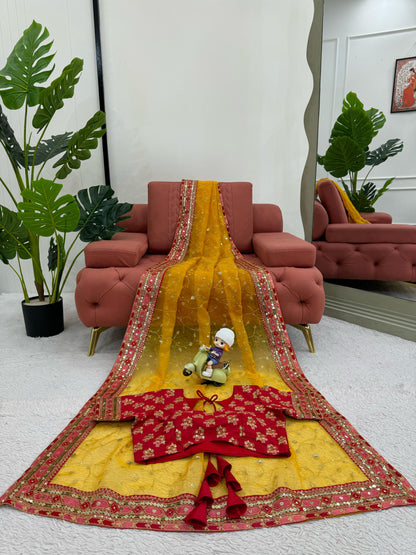 Haldi Premium Wedding Festival partywear saree with blouse