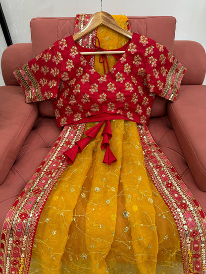 Haldi Premium Wedding Festival partywear saree with blouse